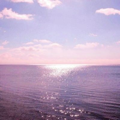 乐鱼app下载截图