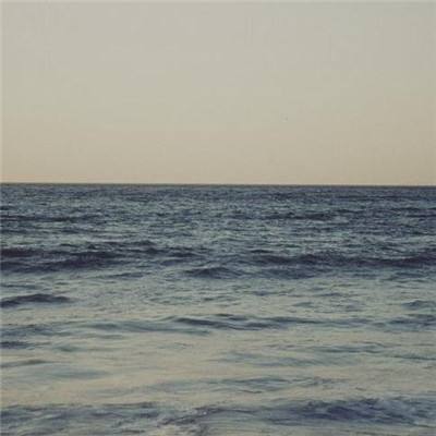 尊龙AG旗舰厅app下载截图